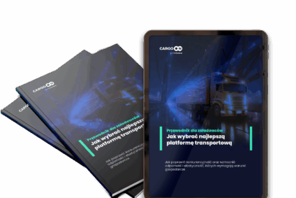 Przewodnik dla załadowców: Jak wybrać najlepszą platformę transportową