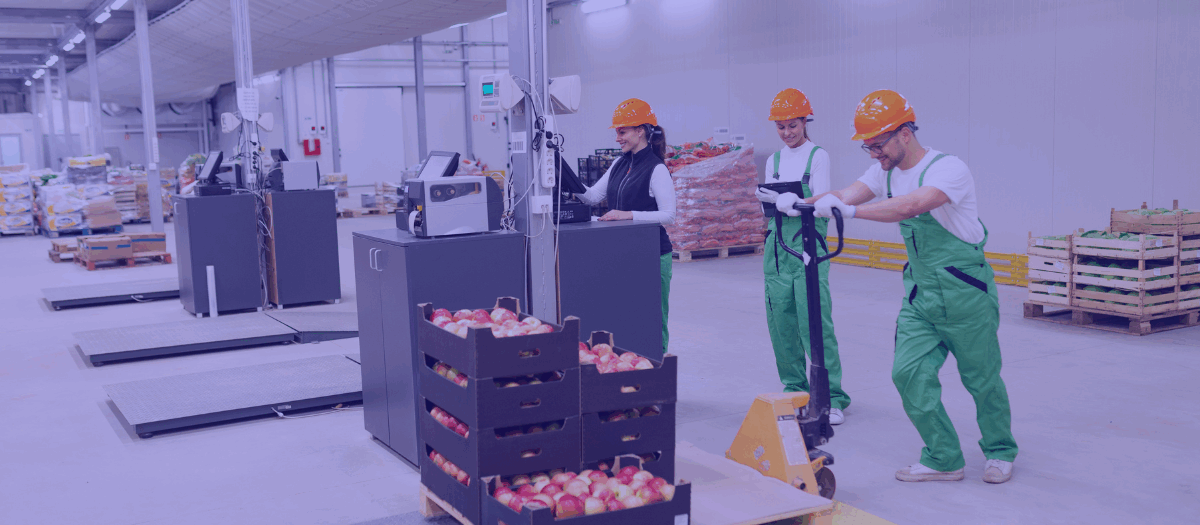 CargoON: digitale Lösungen für die FMCG-Branche