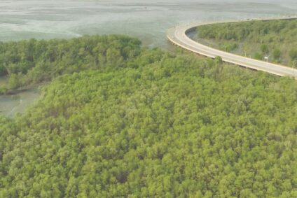 Wyzwania dekarbonizacji. Jak mierzyć ślad węglowy?