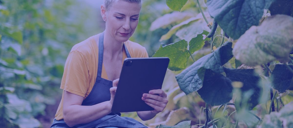 Der deutsche Agrarmarkt Herausforderungen und Perspektiven