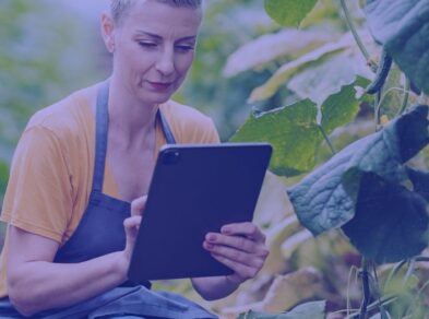 Der deutsche Agrarmarkt Herausforderungen und Perspektiven