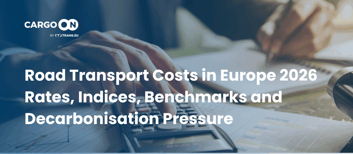 Big Thumbnail on Single Post/Case/Event